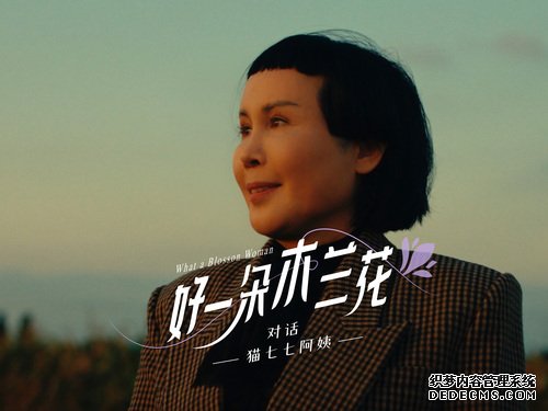 vlog视频封面.jpg