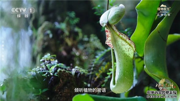 微信图片_202506250919461.jpg